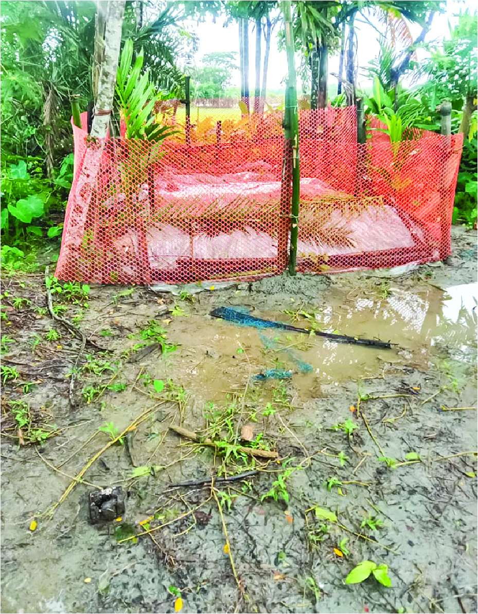 Image of মমিন ইসলাম